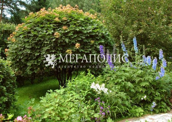 Коттеджный поселок Серебряная роща. КП Серебряная роща Новорижское шоссе - 36865